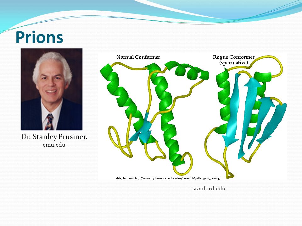 Stanley Prusiner: Neurodegenerative Diseases and Prions