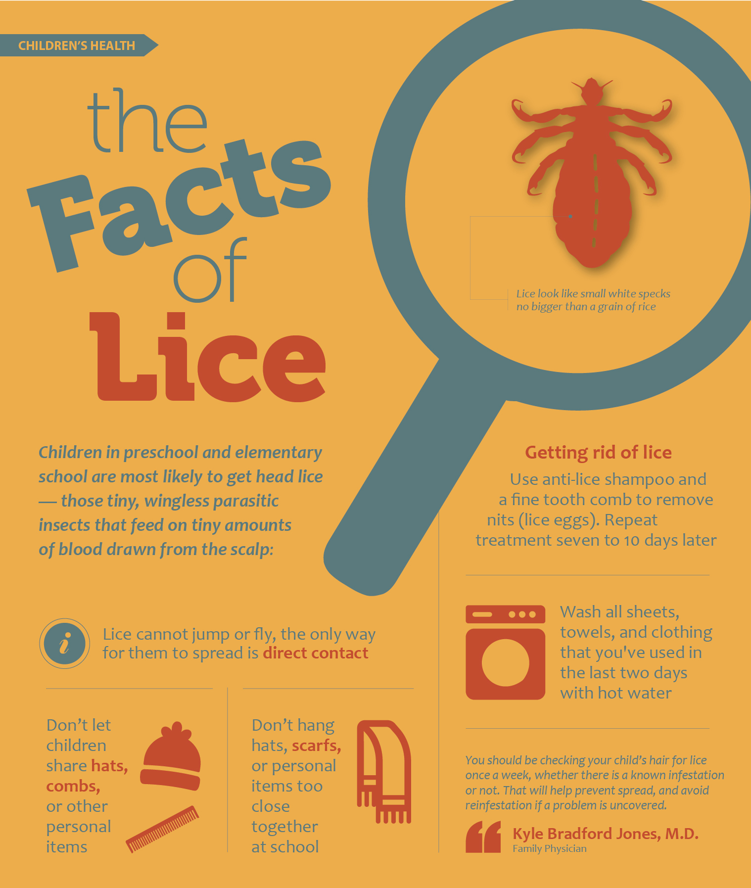 head-lice-in-children-and-tea-tree-oil