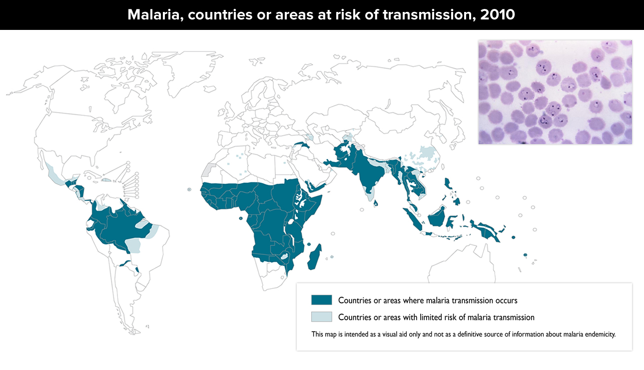 Малярия распространена. Карта распространения малярии. Распространение малярии в мире. Распространенность малярии.